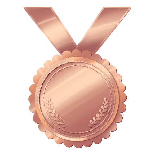 Bronze Medal